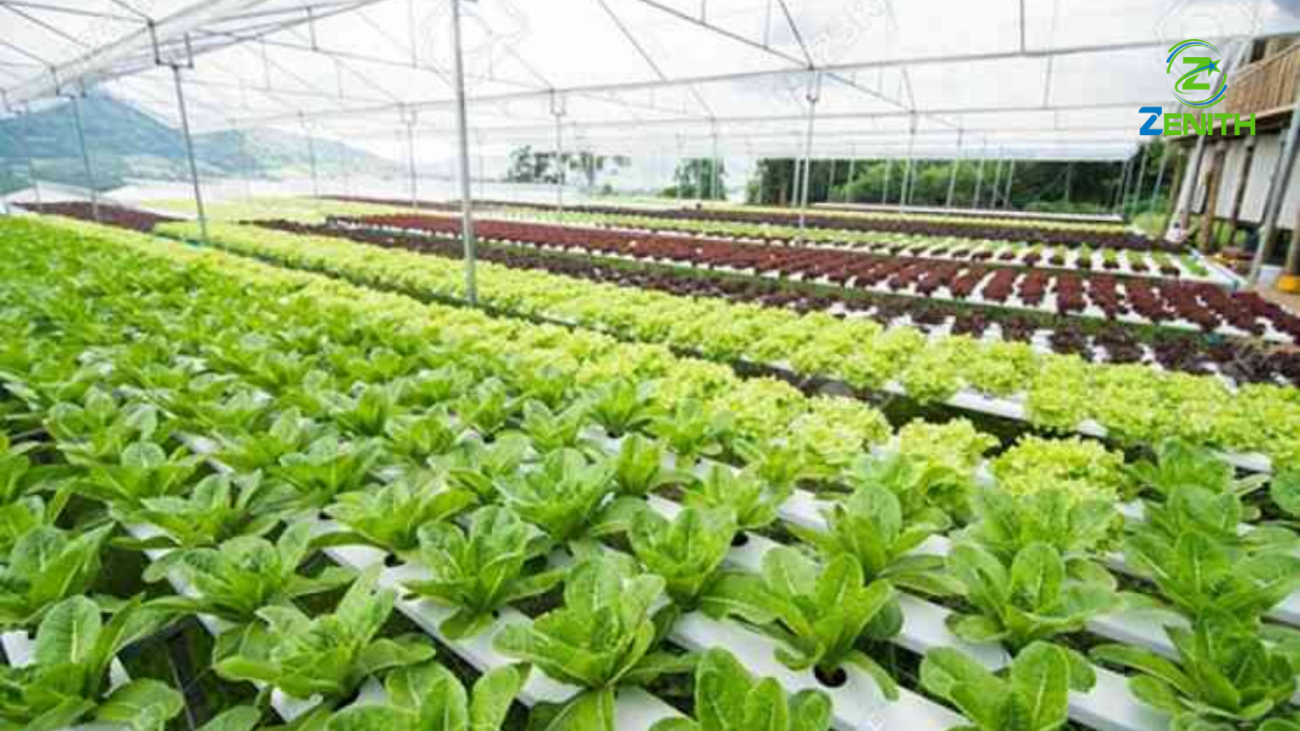 Du Học Nghề Nhật Bản